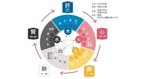 五行 木 性質|【五行占い】木（陽・陰）の2023年運勢や特徴・性。